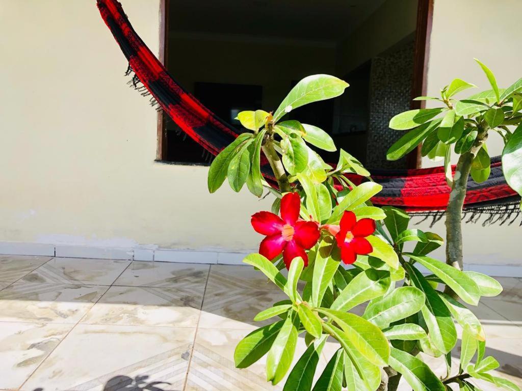Casa Em Barreirinhas 01公寓 外观 照片