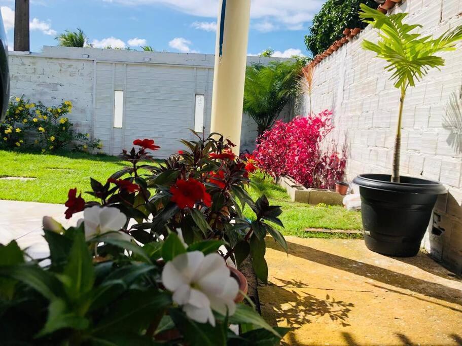 Casa Em Barreirinhas 01公寓 外观 照片